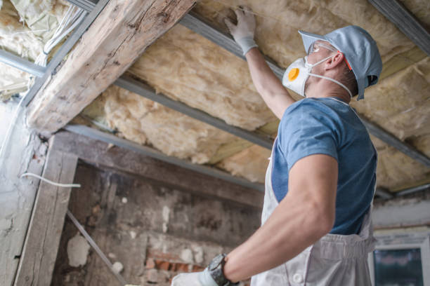 Insulation Repair Services in Heritage Pines, FL